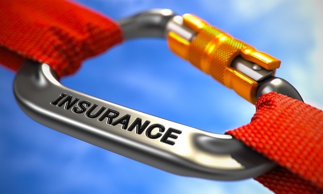 Karabiner mit Aufschrift "Insurance"