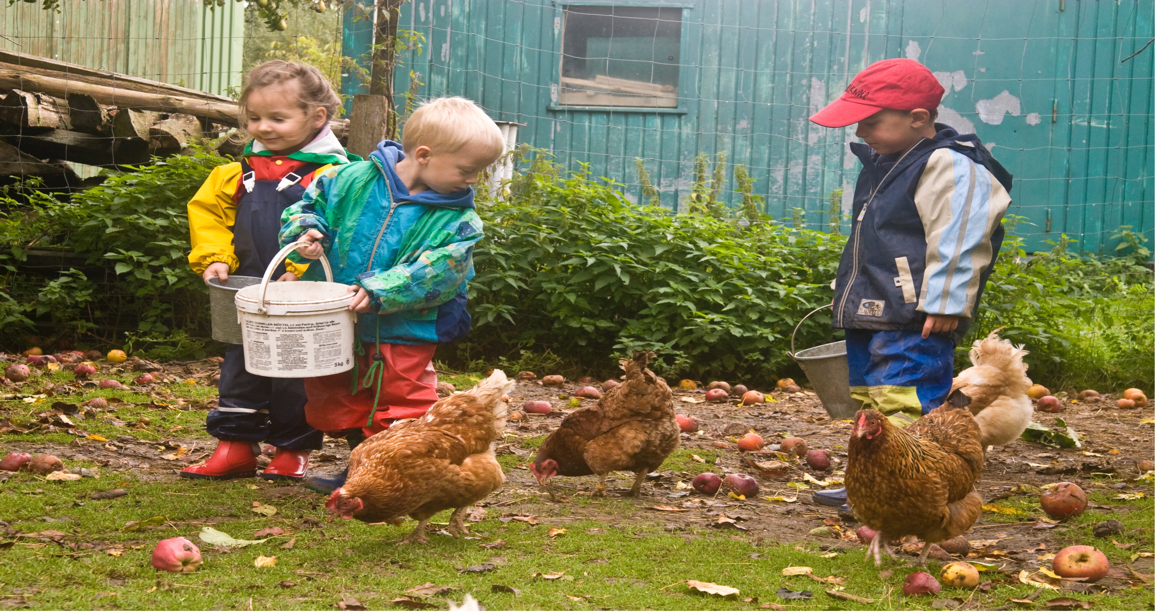 Bei den Bauernhof-Kitas der Genossenschaft Kita NATURA helfen die Kinder bei der Versorgung der Tiere mit.