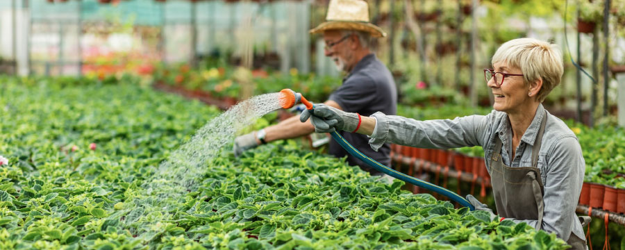 Wie digitale Wassernetze helfen, Wasser effizienter zu nutzen