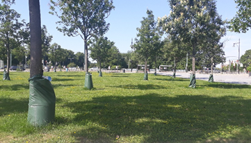 Wassersäcke in einer Rostocker Grünanlage