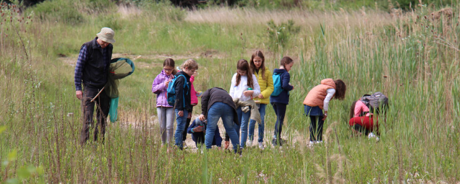 : Auf der ehemaligen Industriebrache des Monte Scherbelino ist nun Naturwildnis zu bewundern – zum Beispiel in speziellen Umweltführungen für Kinder.
