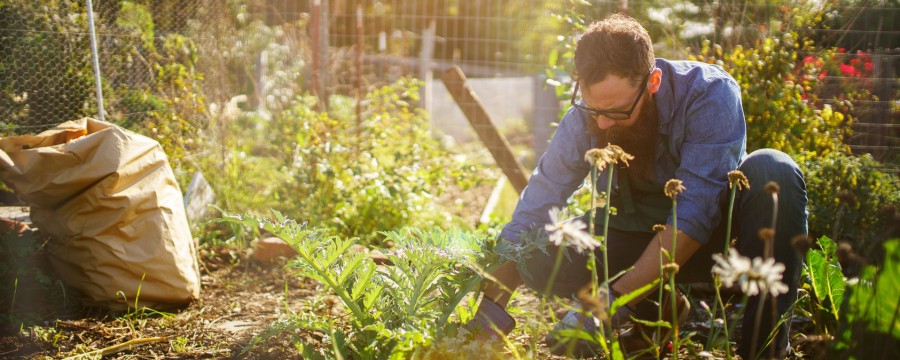 masterplan stadtnatur beschlossen