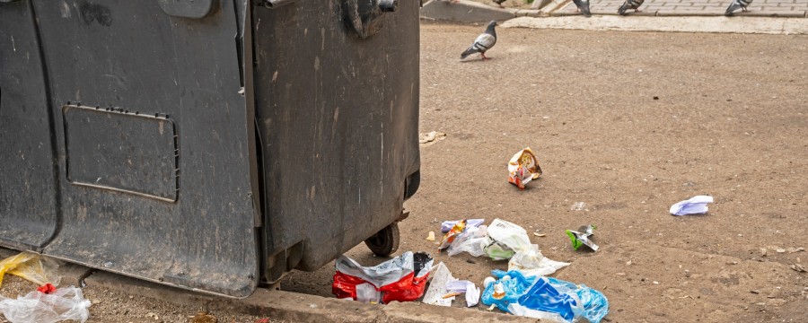 Müllcontainer lockt Ratten an.