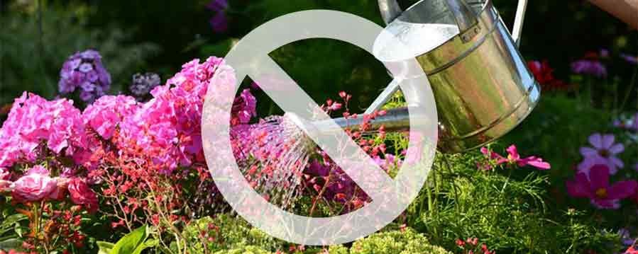 Gießen mit Trinkwasser verboten