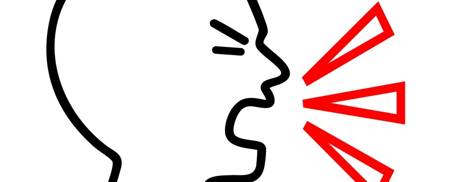 Störer verbale Angriffe kommunale Gremien Stadtrat Gemeinderat