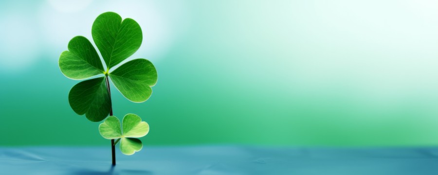 Kleeblätter als Glücksbringer