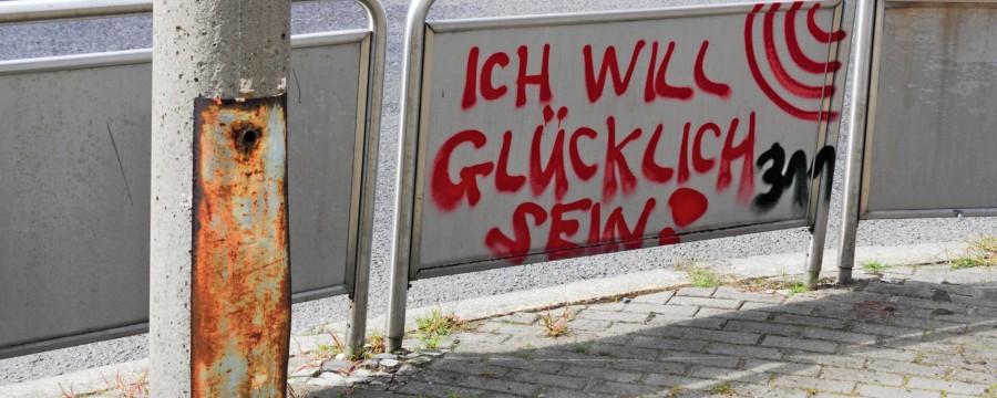 Wie ist unser Stadtbild? In der Debatte kommt neben der Migrationspolitik immer wieder auch die Verwahrlosung von Innenstädten zur Sprache, vom Ein Euro Shop, der die Boutique verdrängt hat bis zum Grafitti Problem vieler Kommunen