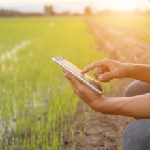 Kommunale Einrichtungen besser zusammen bekommen – das ist Ziel der Modellregion, die der Landkreis Greifswald-Vorpommern nun ist.
